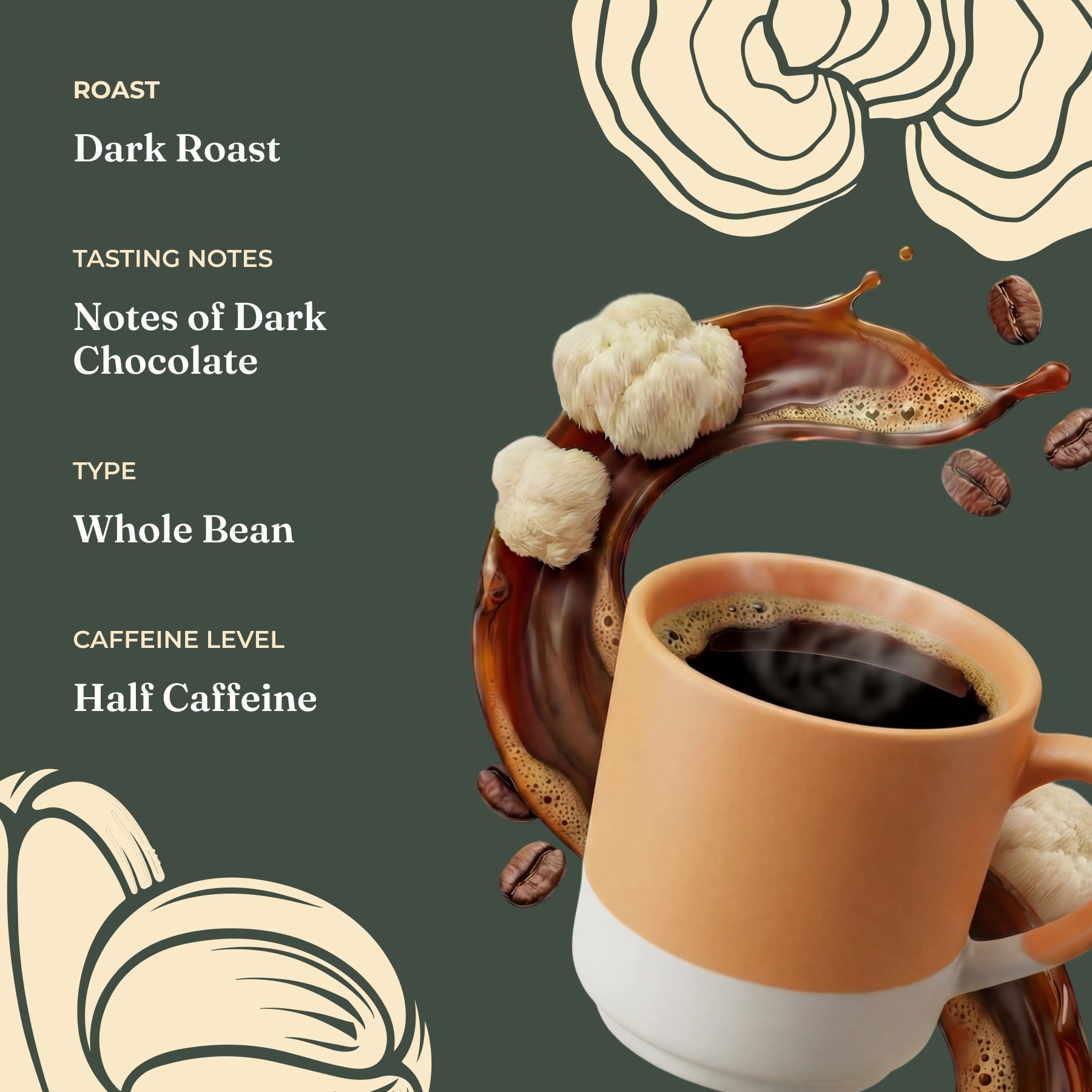 focus-half-caf-whole-bean-coffee-k7 Taste_-_Focus_Half_Caf_Whole_Bean_d1d02c35-db99-498e-ac43-813730db6953.jpg
